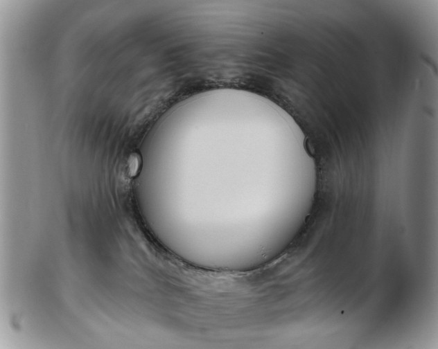 X0000102790040200809021124