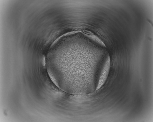 X0000102790041200809021124