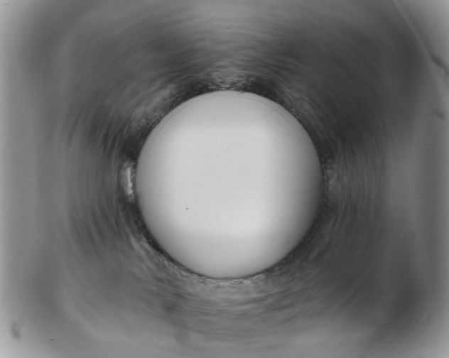 X0000102790042200809021124