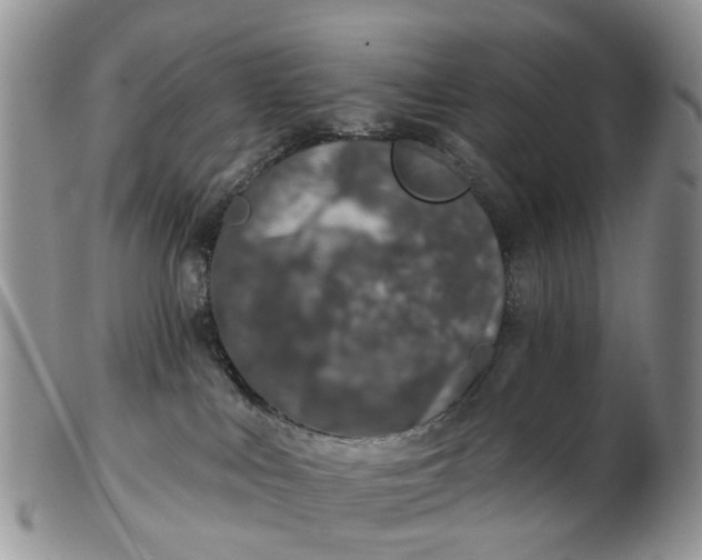 X0000102790043200809021124