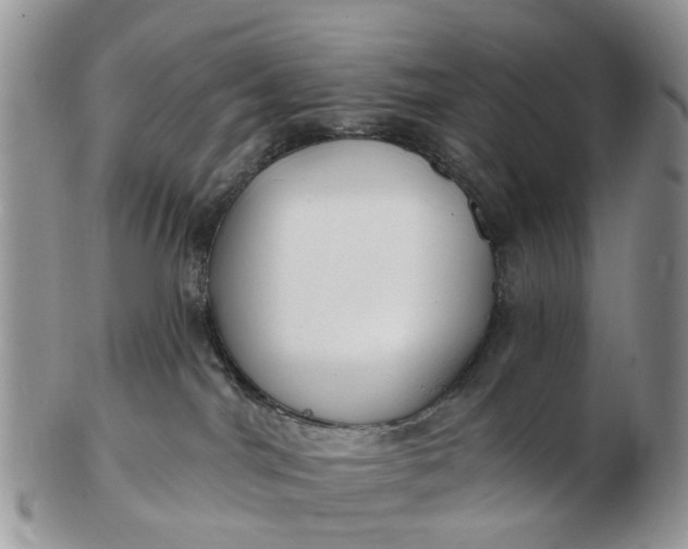 X0000102790044200809021124