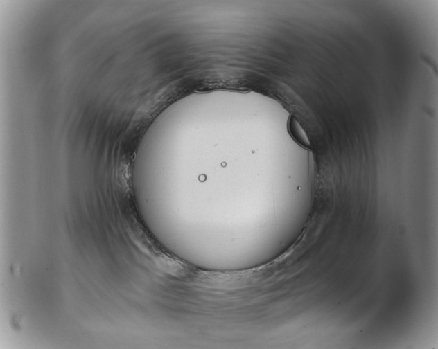 X0000102790045200809021124