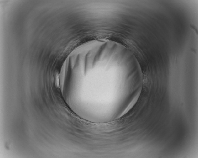 X0000102790046200809021124