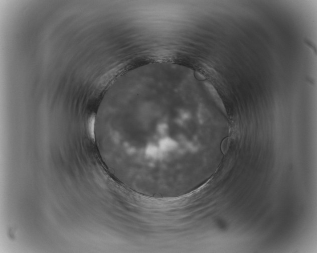 X0000102790047200809021124