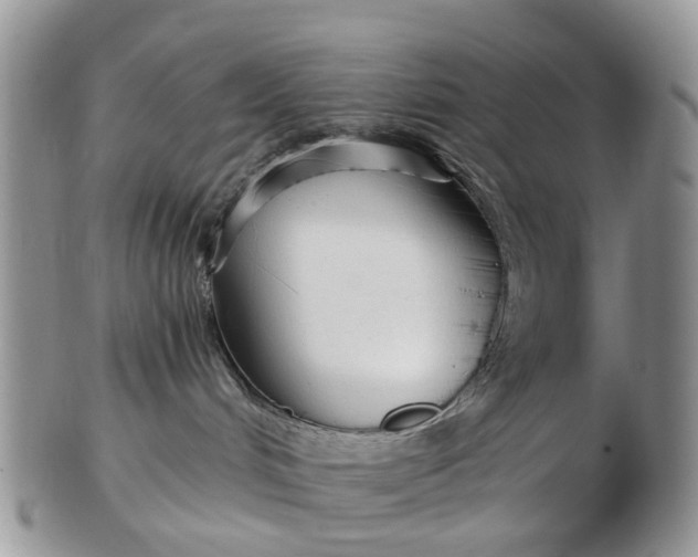 X0000102790048200809021124