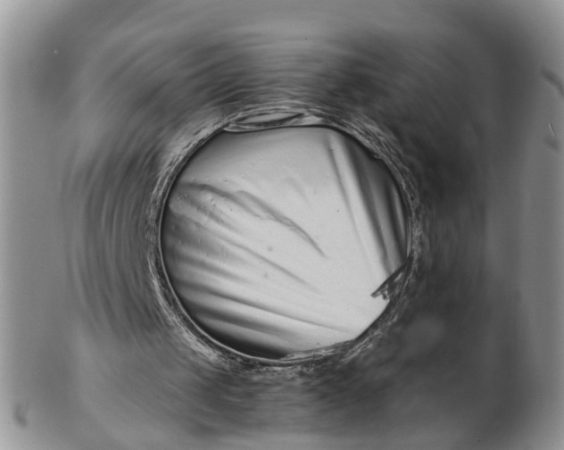 X0000102790049200809021123