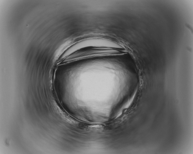 X0000102790053200809021123