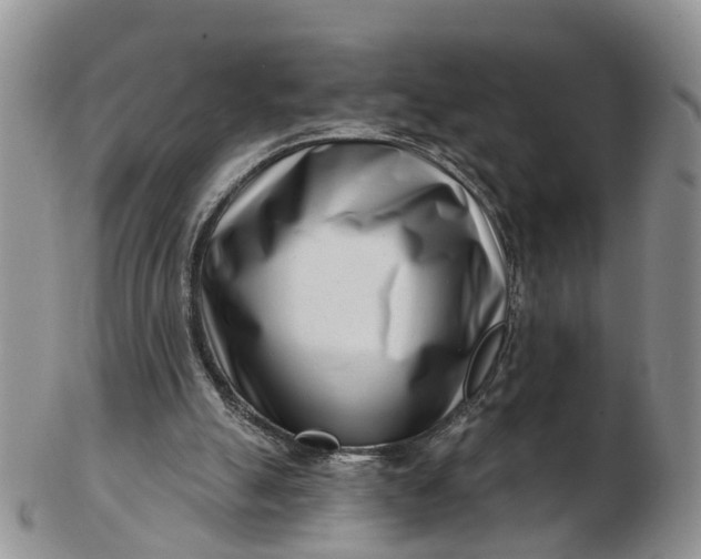 X0000102790055200809021123