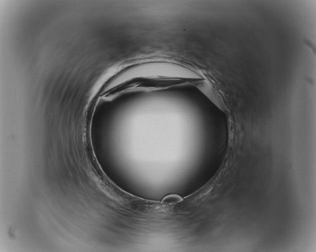 X0000102790056200809021123