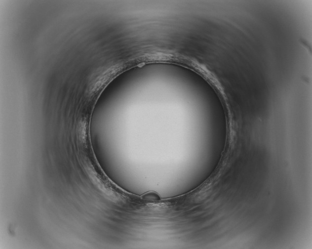 X0000102790057200809021123