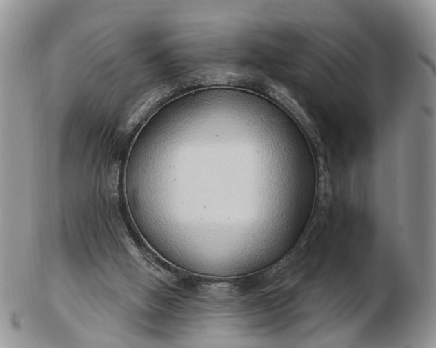 X0000102790058200809021123