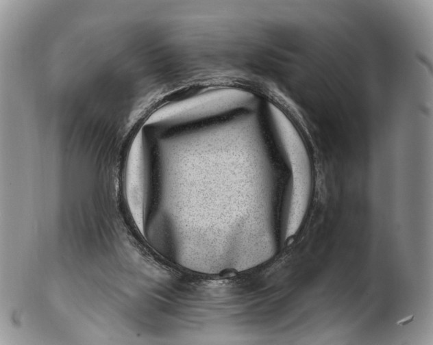 X0000102790059200809021123