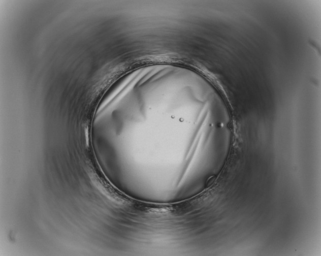 X0000102790061200809021123