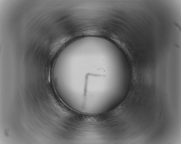 X0000102790062200809021123