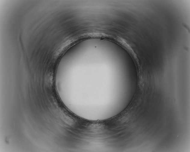 X0000102790063200809021123