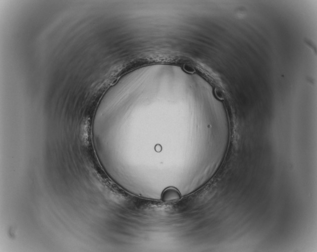 X0000102790065200809021123