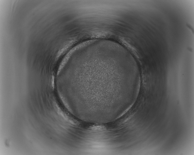 X0000102790067200809021123