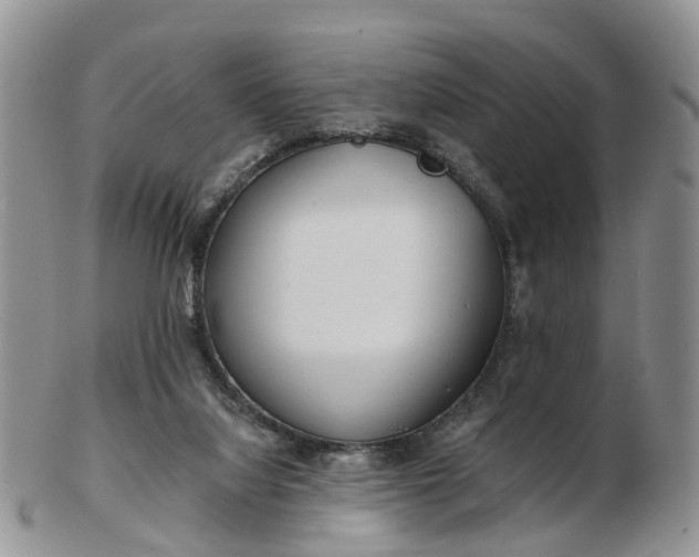 X0000102790068200809021123