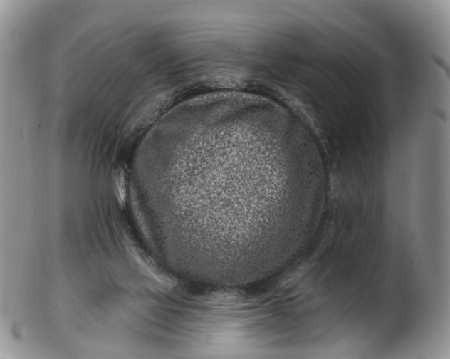 X0000102790069200809021123