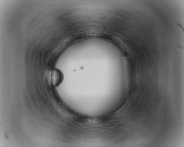 X0000102790070200809021123