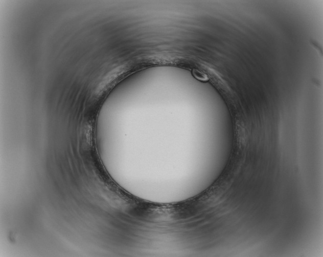 X0000102790071200809021123