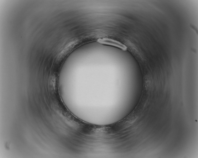 X0000102790072200809021123