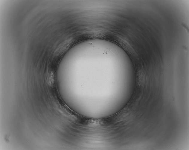 X0000102790077200809021123