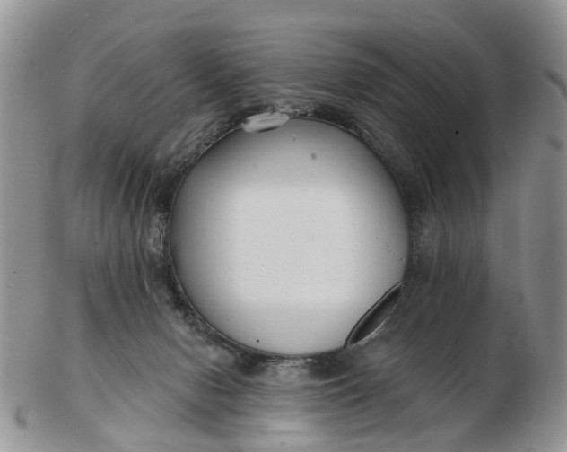 X0000102790078200809021123