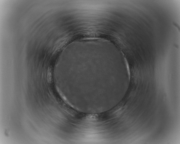 X0000102790080200809021123