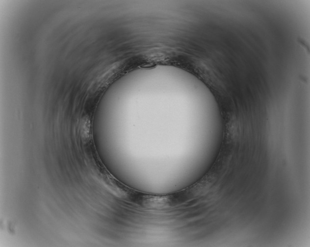 X0000102790081200809021123