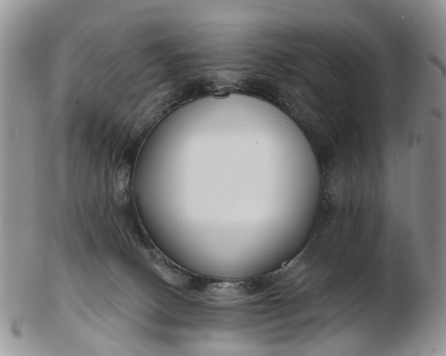 X0000102790082200809021123