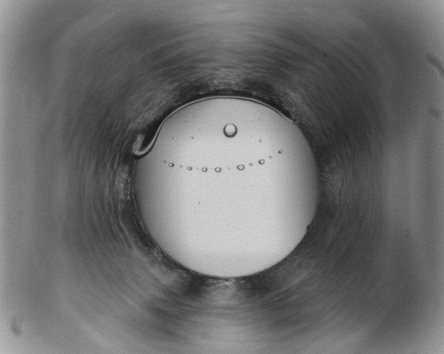 X0000102790083200809021123