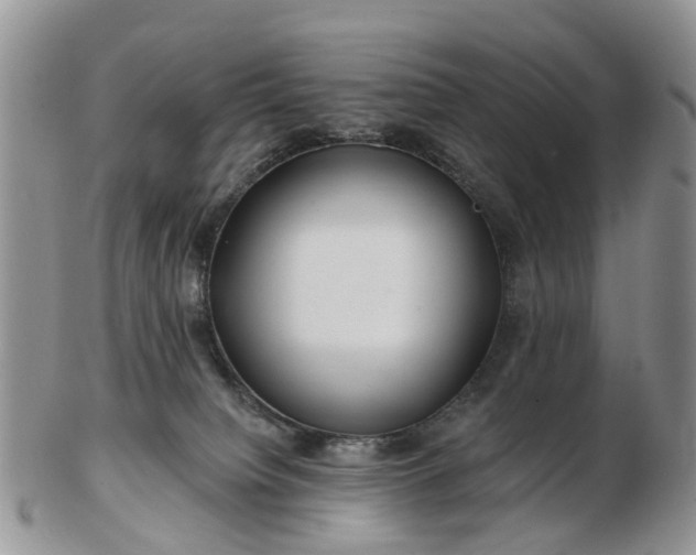 X0000102790084200809021123