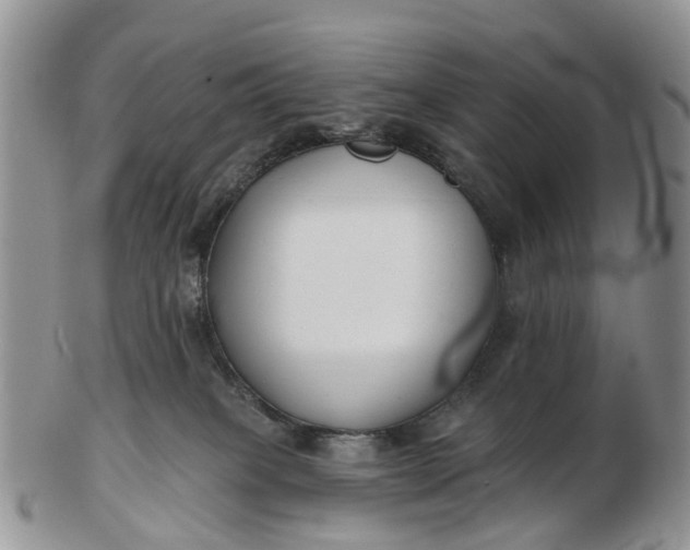 X0000102790085200809021123