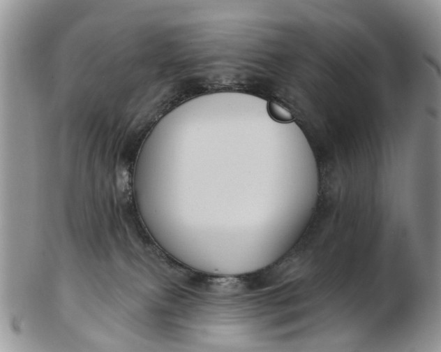 X0000102790087200809021123