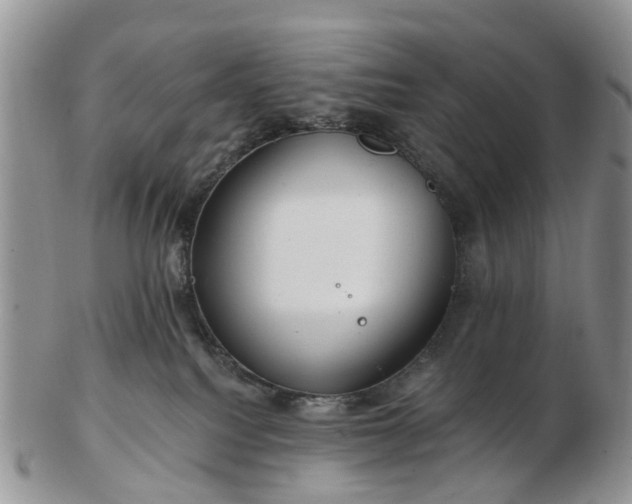 X0000102790088200809021123