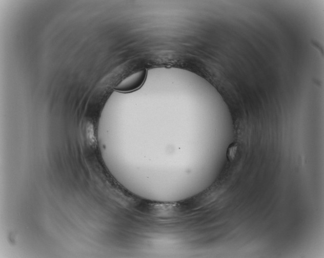 X0000102790089200809021123