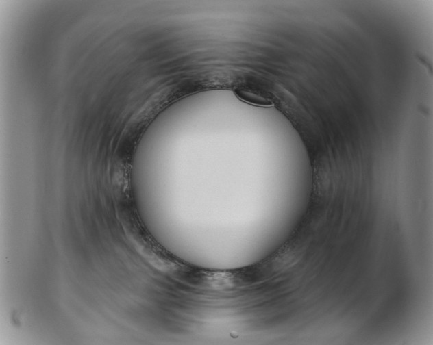 X0000102790091200809021123