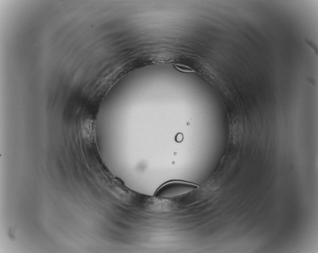 X0000102790093200809021124