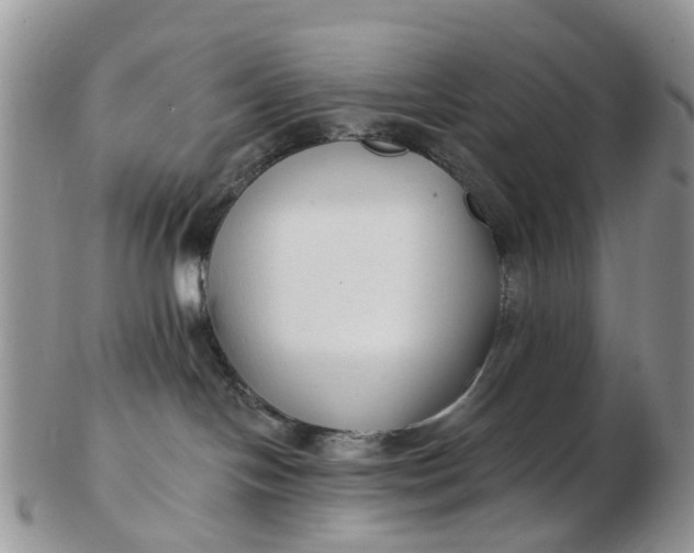 X0000102790094200809021124