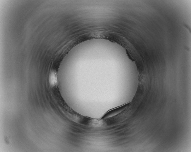 X0000102790095200809021124