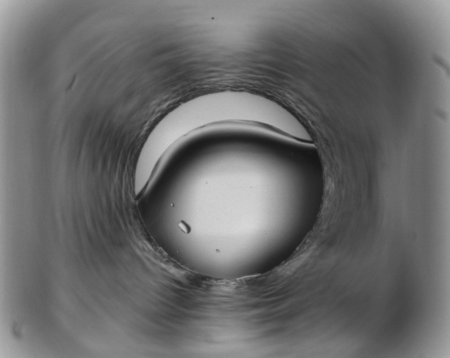 X0000102790096200809021124