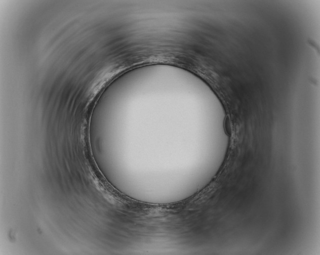 X0000102790098200809021123