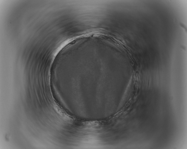 X0000102790100200809021123