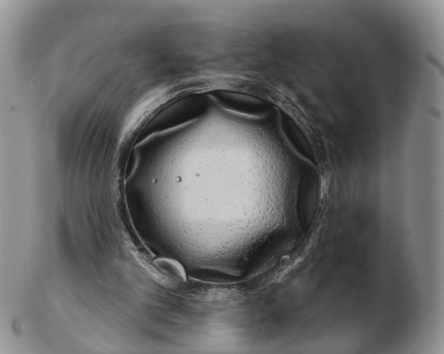 X0000102790101200809021123