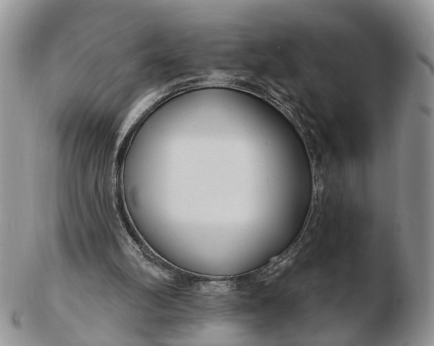 X0000102790102200809021123