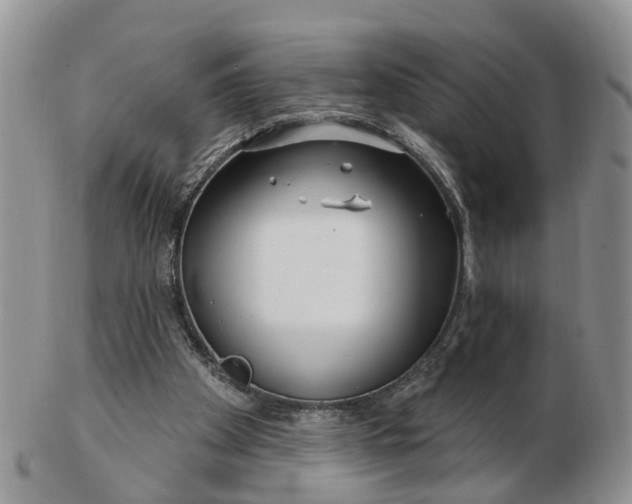 X0000102790105200809021123