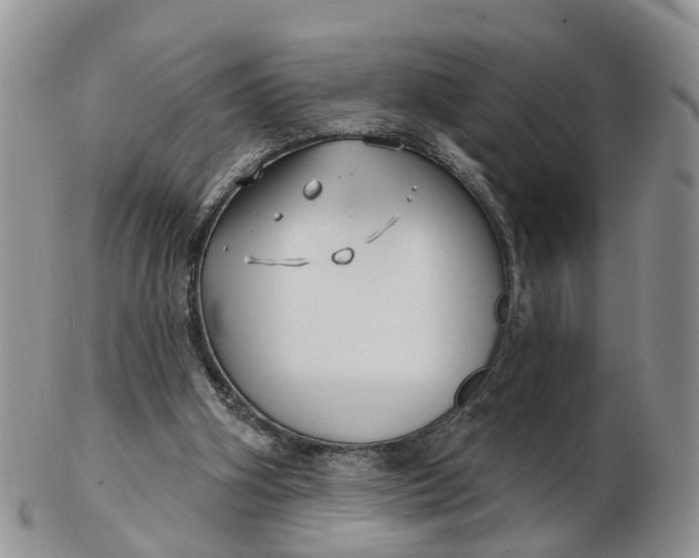 X0000102790106200809021123