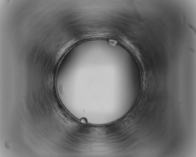 X0000102790107200809021123