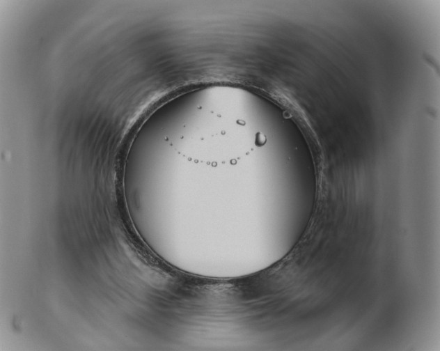 X0000102790108200809021123